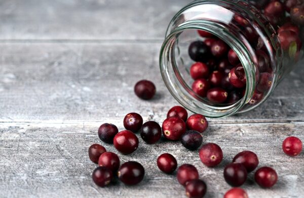 cranberries, berries, fruits-6384279.jpg