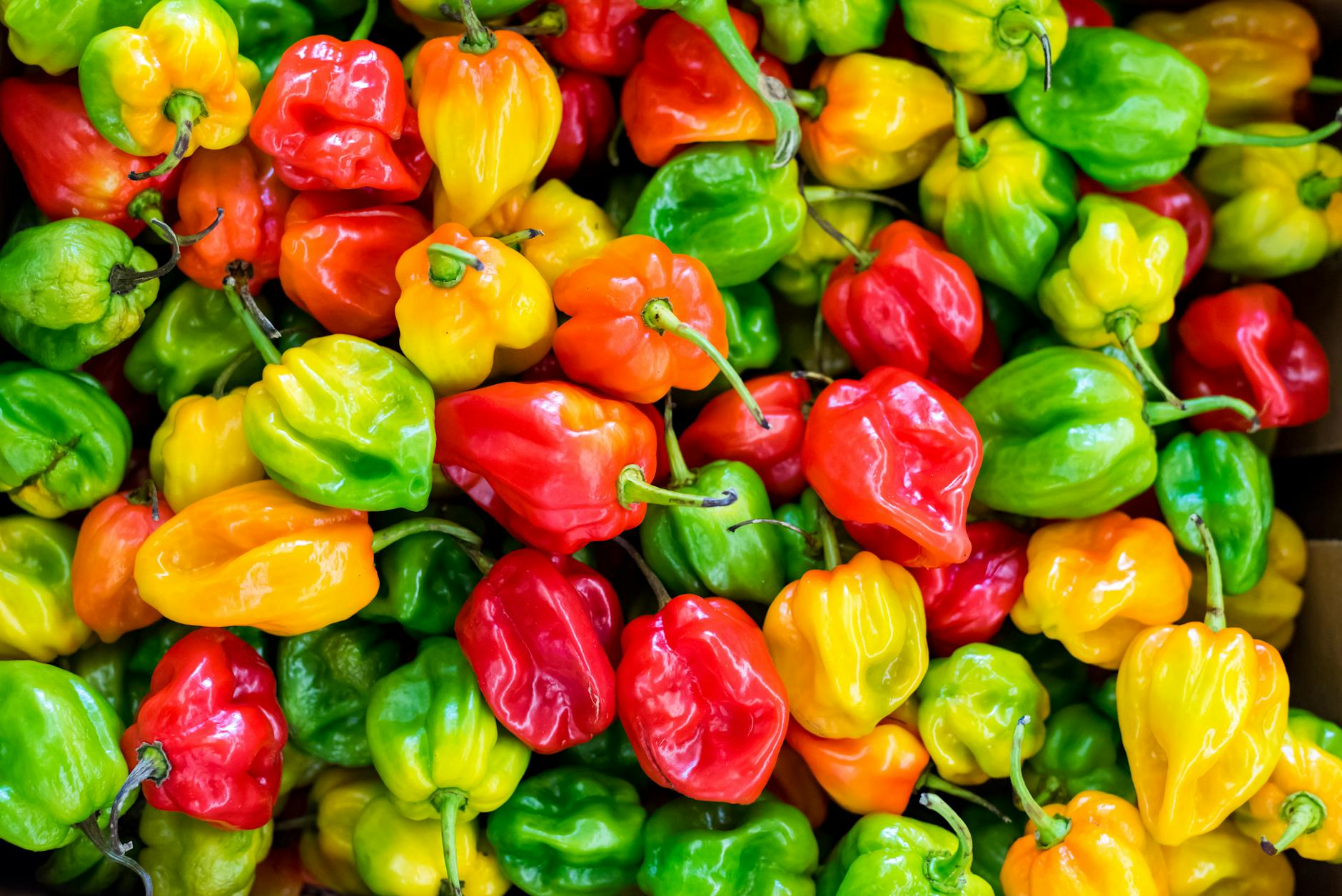 pile of chilies